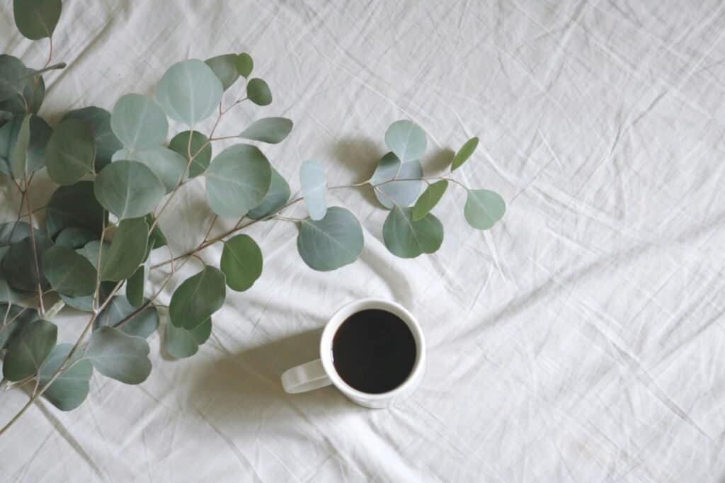 flat lay photography of white mug beside green leafed plants