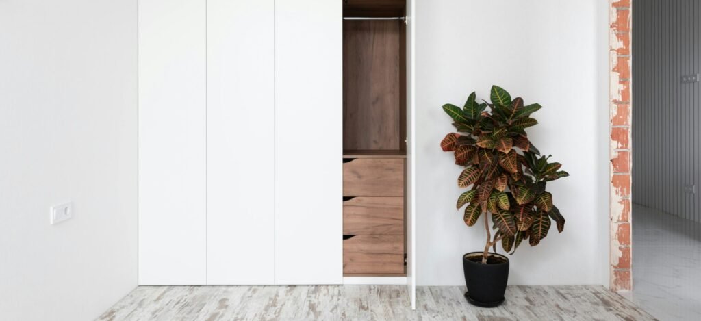 Potted fire croton plant for care placed in hallway near white closet. 